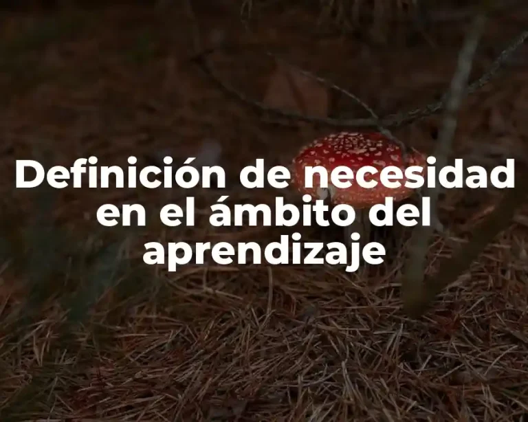 Definición de necesidad en el ámbito del aprendizaje