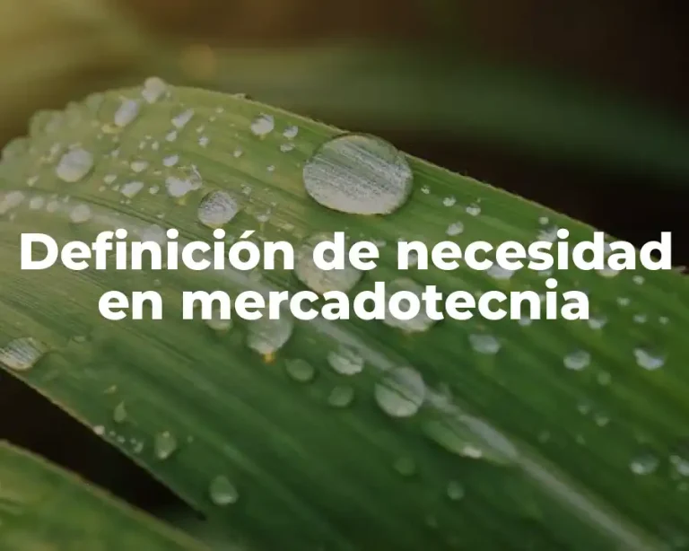 Definición de necesidad en mercadotecnia