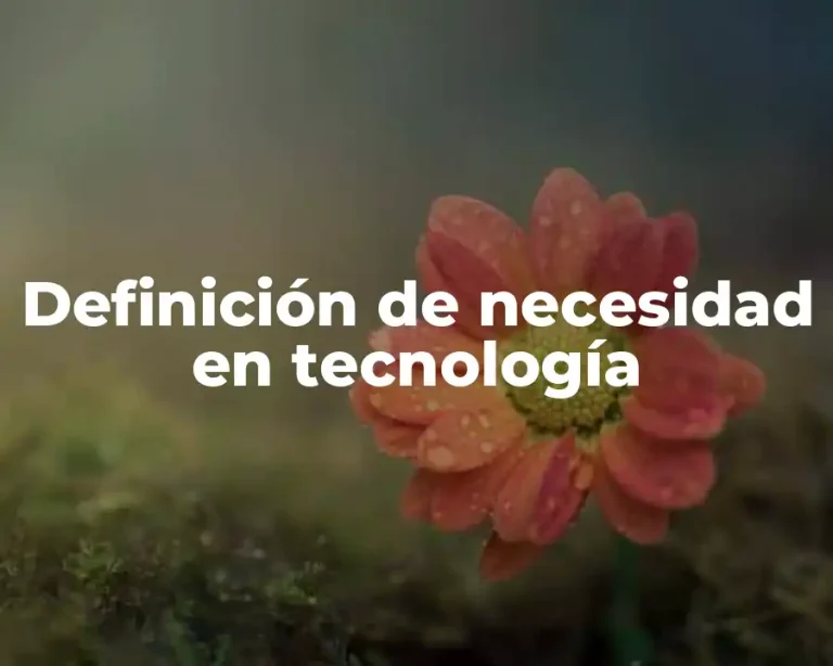 Definición de necesidad en tecnología