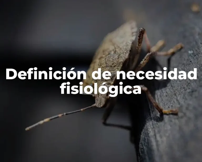 Definición de necesidad fisiológica