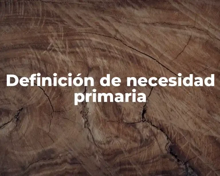 Definición de necesidad primaria