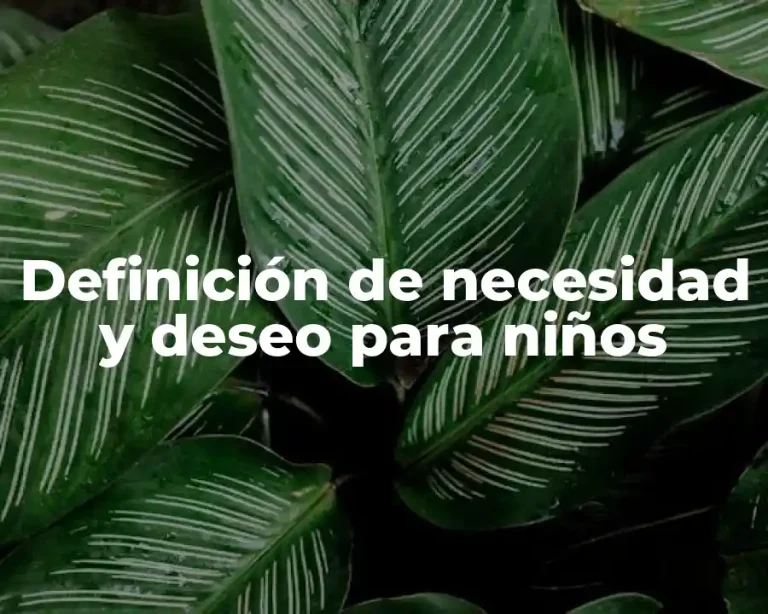 Definición de necesidad y deseo para niños