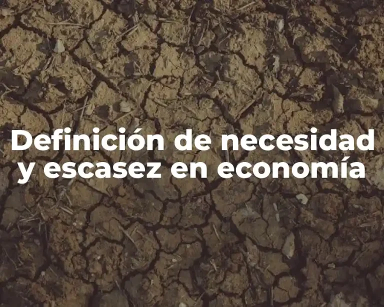 Definición de necesidad y escasez en economía