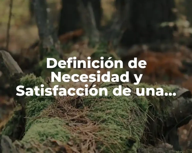 Definición de Necesidad y Satisfacción de una Empresa