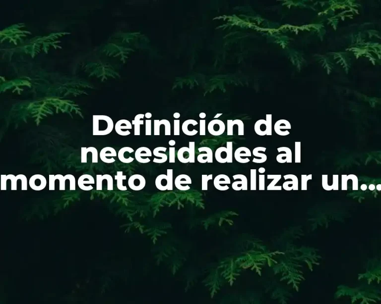 Definición de necesidades al momento de realizar un programa