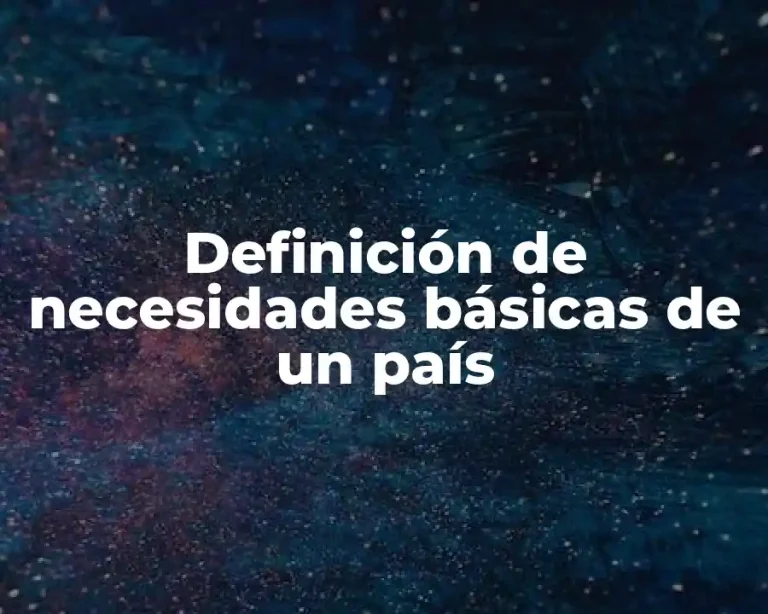 Definición de necesidades básicas de un país
