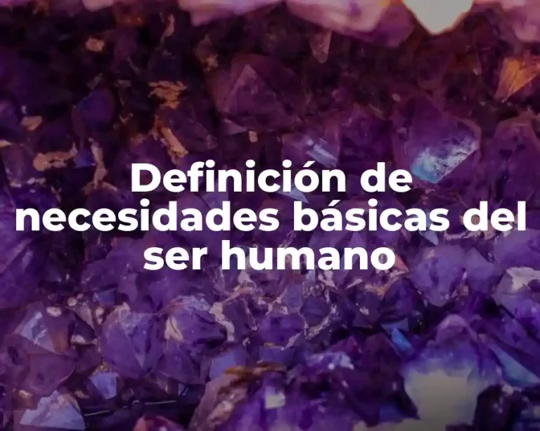 Definición de necesidades básicas del ser humano
