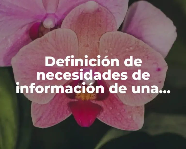 Definición de necesidades de información de una tortilleria de maíz