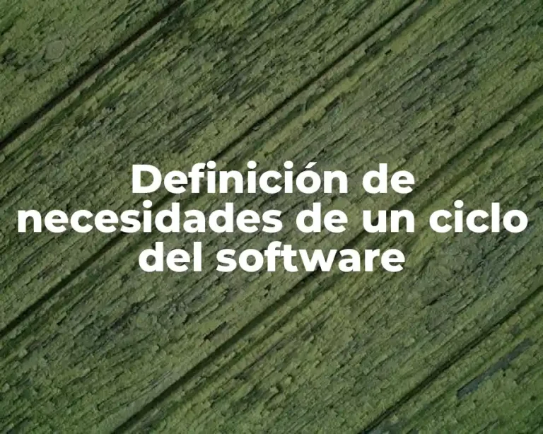Definición de necesidades de un ciclo del software