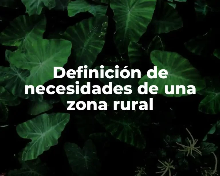 Definición de necesidades de una zona rural