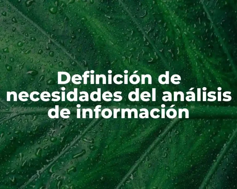 Definición de necesidades del análisis de información