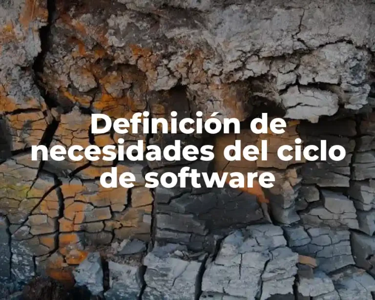 Definición de necesidades del ciclo de software