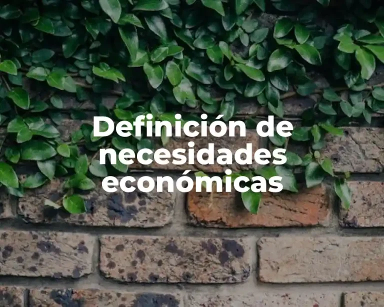 Definición de necesidades económicas