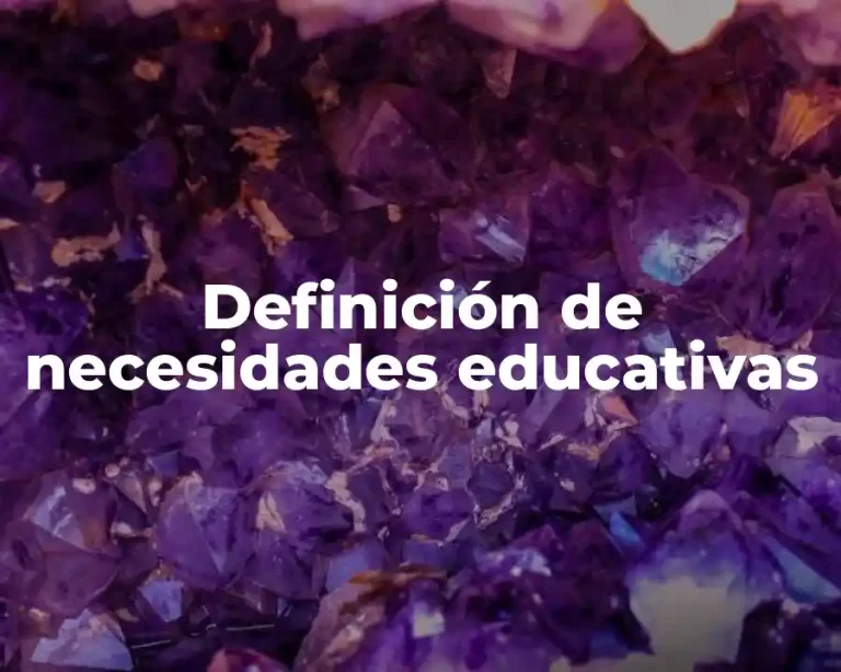 Definición de necesidades educativas