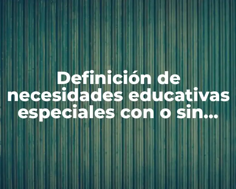 Definición de necesidades educativas especiales con o sin discapacidad