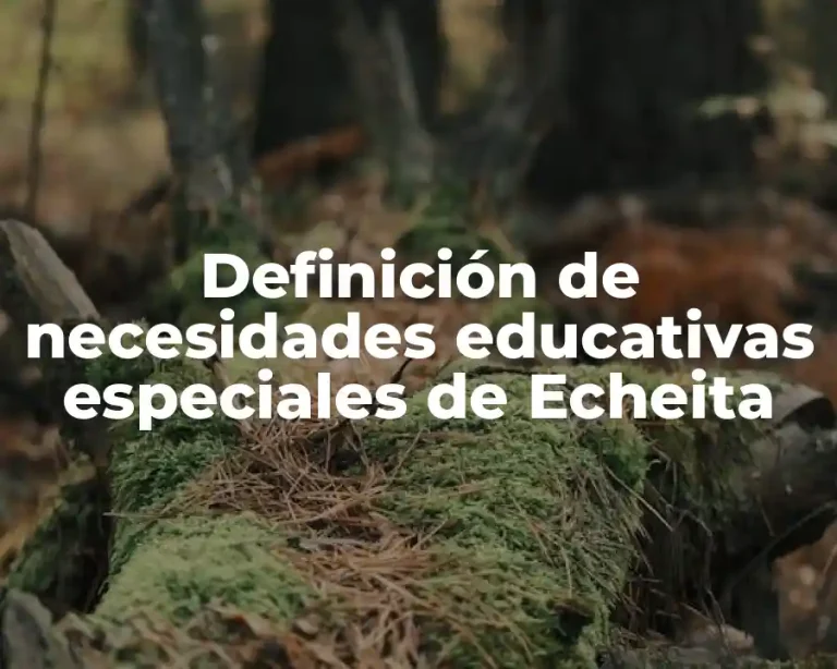Definición de necesidades educativas especiales de Echeita