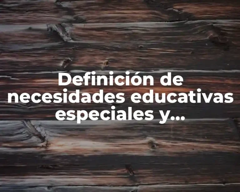 Definición de necesidades educativas especiales y discapacidad