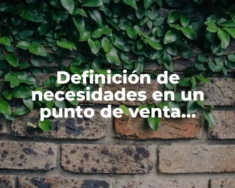 Definición de necesidades en un punto de venta sistemas