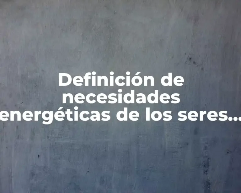 Definición de necesidades energéticas de los seres humanos