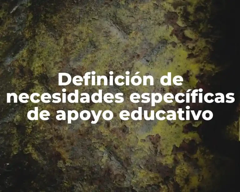 Definición de necesidades específicas de apoyo educativo