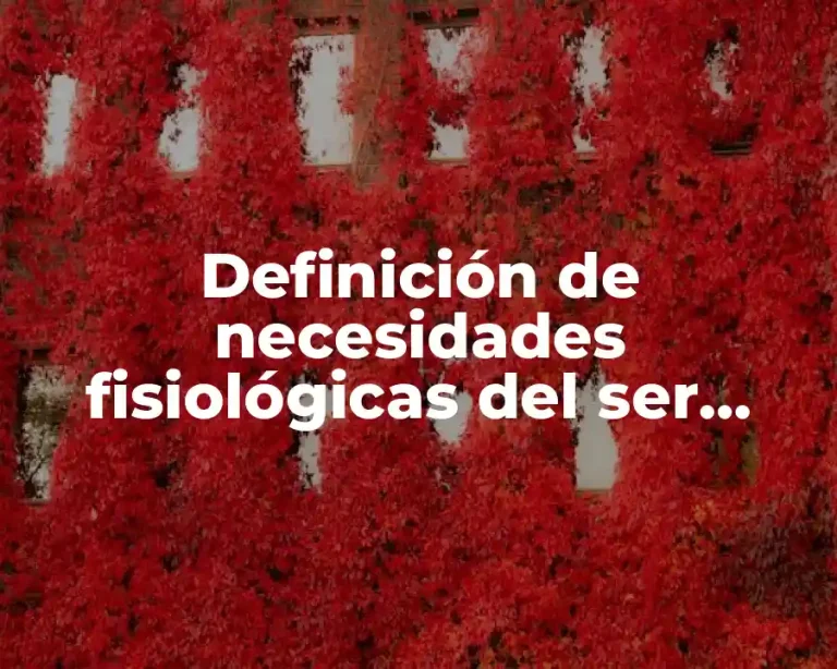 Definición de necesidades fisiológicas del ser humano