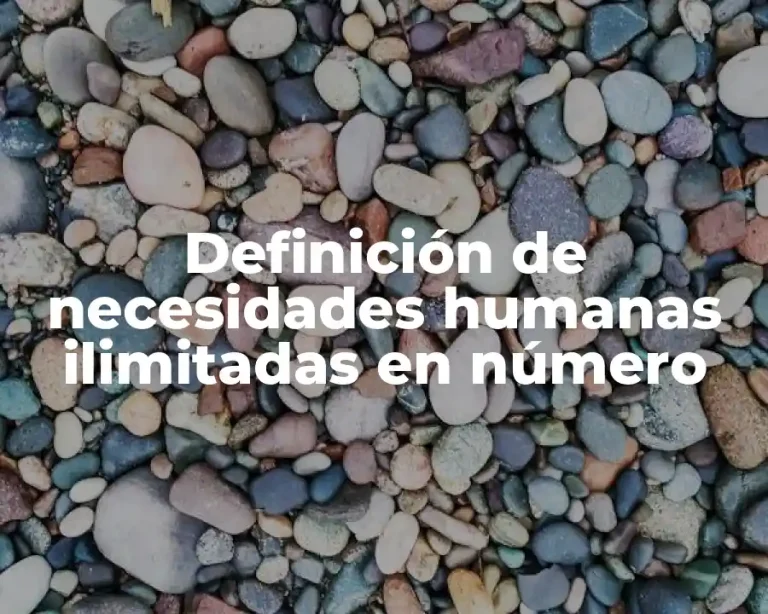 Definición de necesidades humanas ilimitadas en número