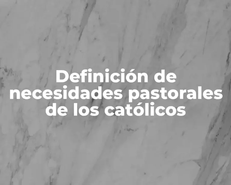 Definición de necesidades pastorales de los católicos
