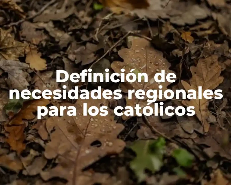 Definición de necesidades regionales para los católicos