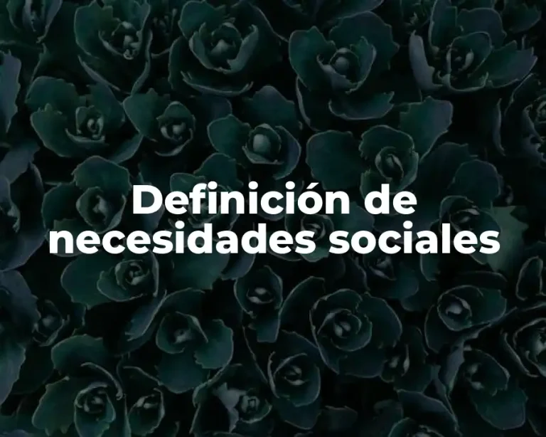 Definición de necesidades sociales