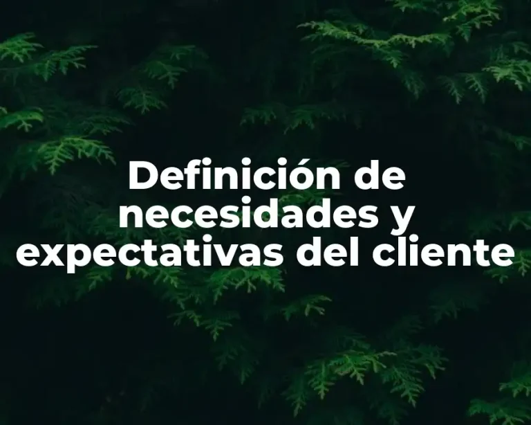 Definición de necesidades y expectativas del cliente