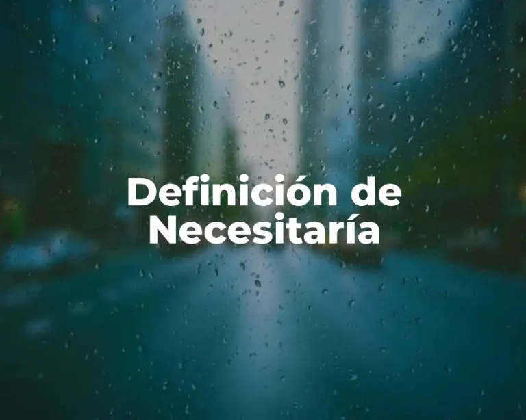 Definición de Necesitaría