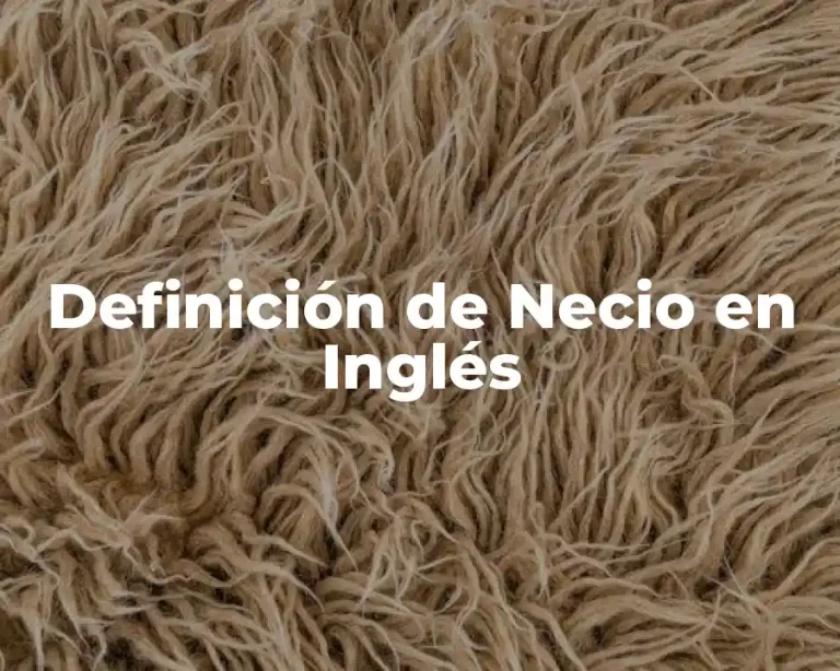 Definición de Necio en Inglés
