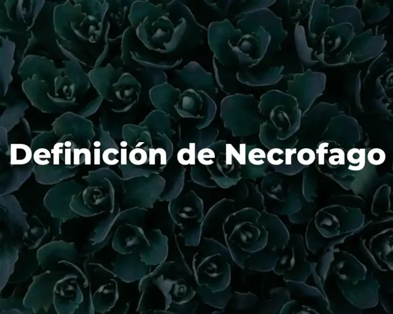 Definición de Necrofago