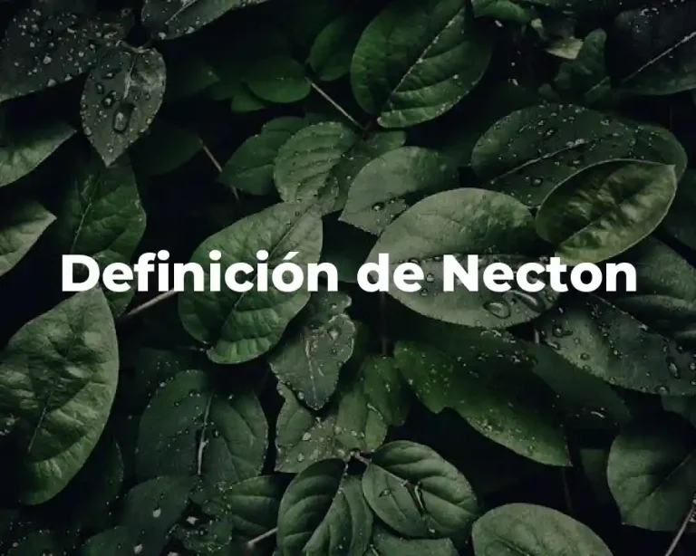 Definición de Necton