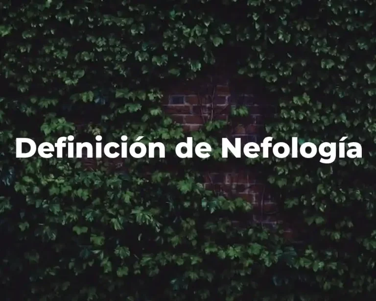 Definición de Nefología
