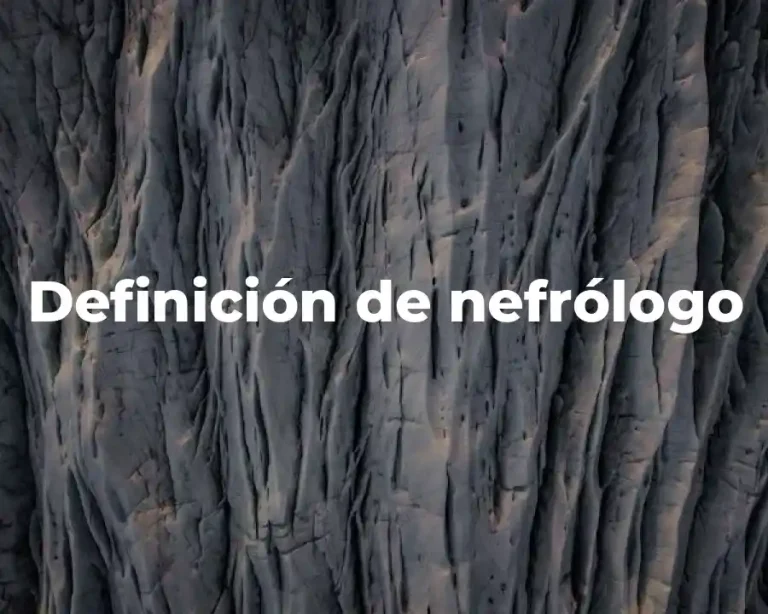 Definición de nefrólogo