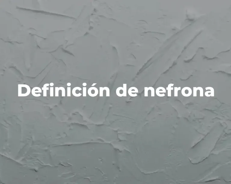 Definición de nefrona