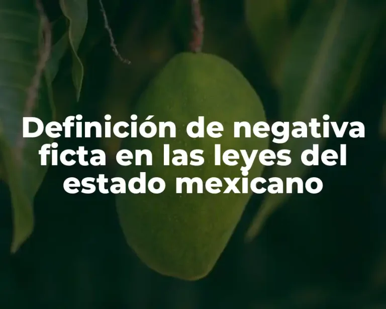 Definición de negativa ficta en las leyes del estado mexicano