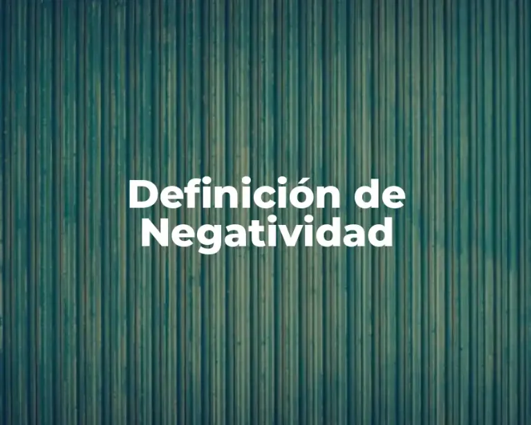 Definición de Negatividad