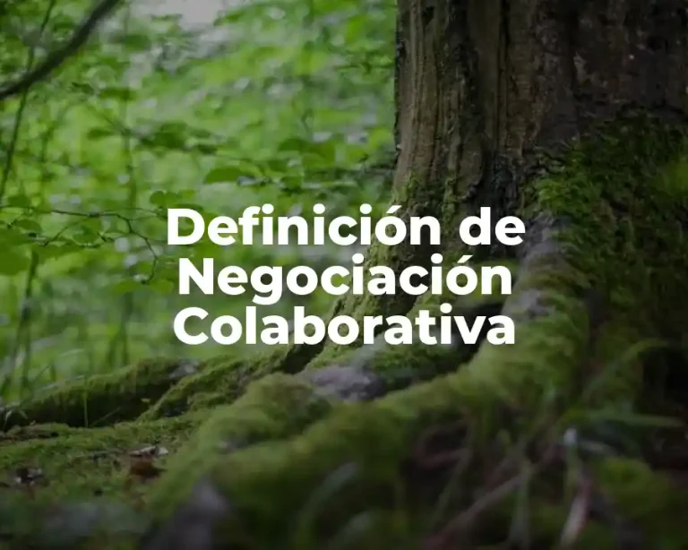 Definición de Negociación Colaborativa