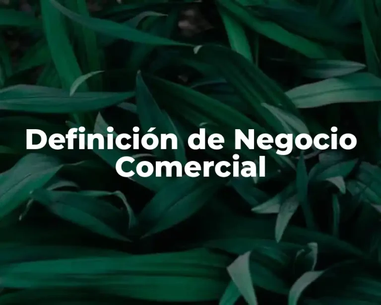 Definición de Negocio Comercial