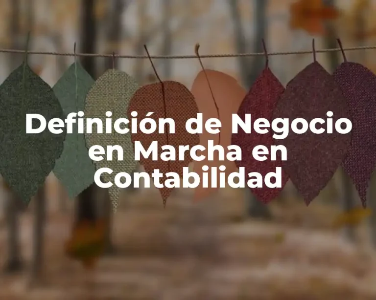 Definición de Negocio en Marcha en Contabilidad