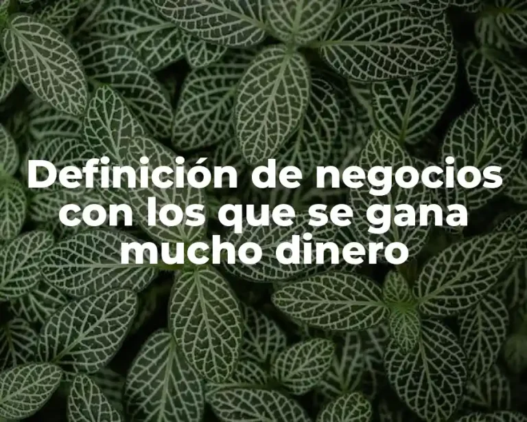 Definición de negocios con los que se gana mucho dinero