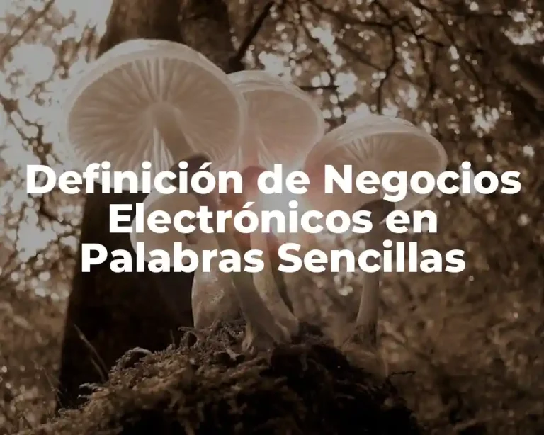 Definición de Negocios Electrónicos en Palabras Sencillas