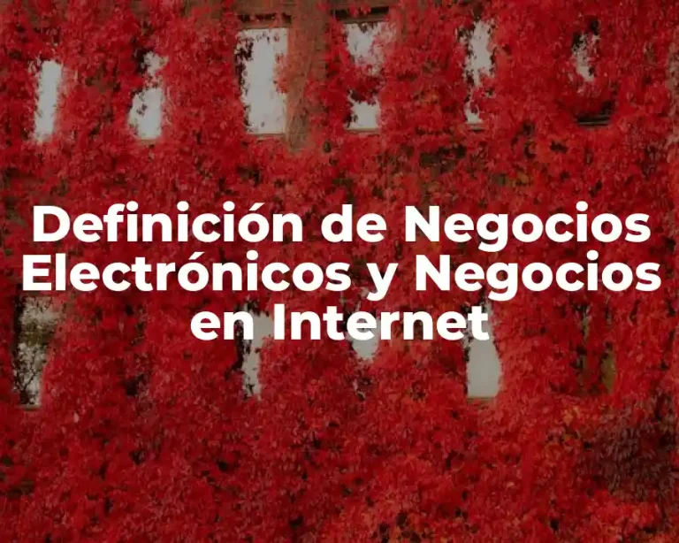 Definición de Negocios Electrónicos y Negocios en Internet