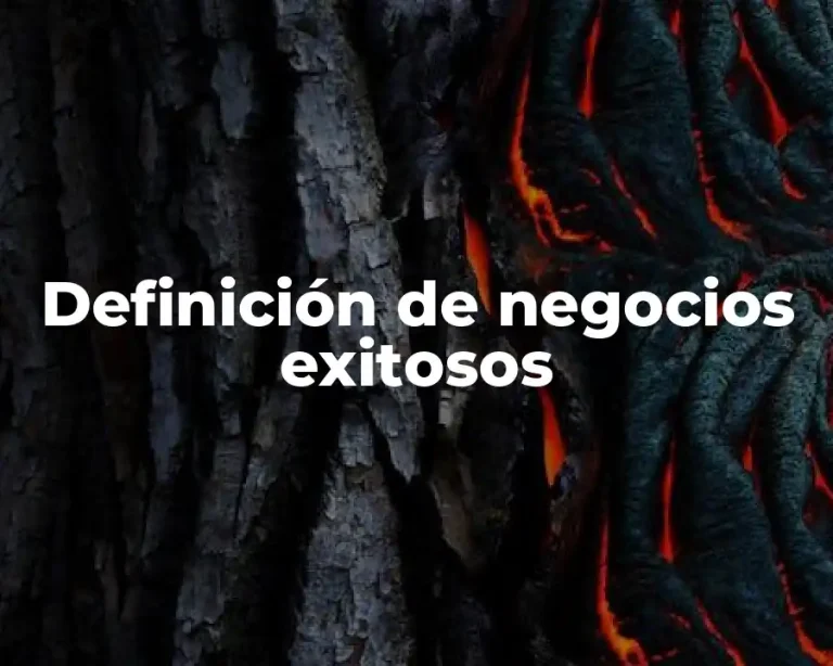Definición de negocios exitosos