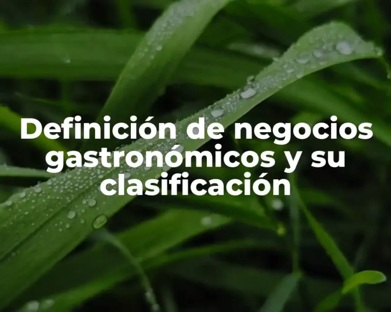 Definición de negocios gastronómicos y su clasificación