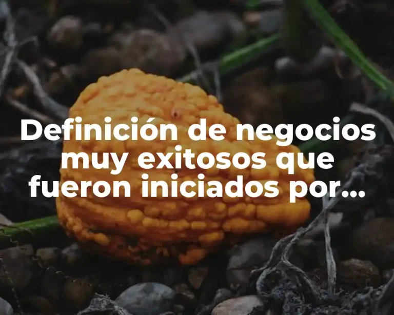Definición de negocios muy exitosos que fueron iniciados por empresarios