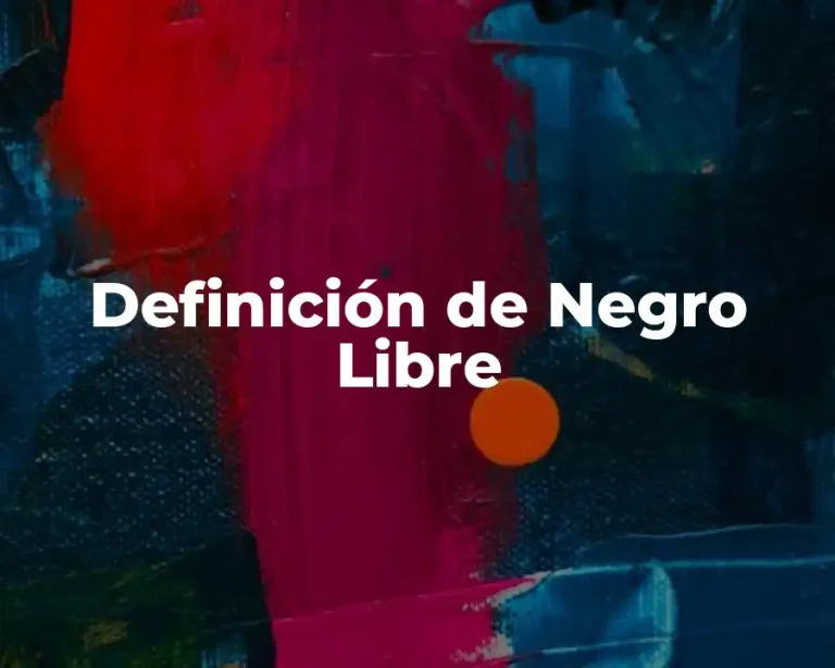 Definición de Negro Libre