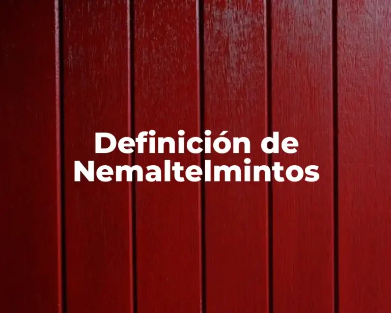Definición de Nemaltelmintos